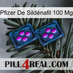 Pfizer De Sildénafil 100 Mg 03